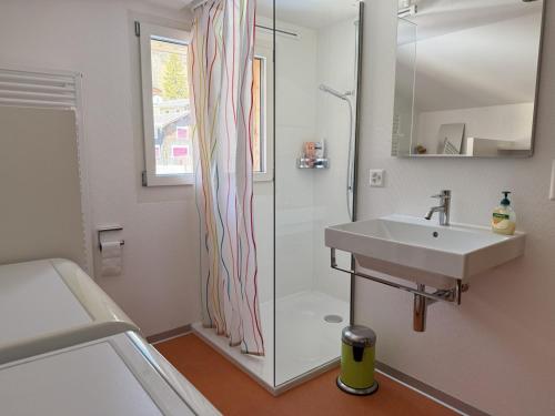 a bathroom with a sink and a shower at Revier Schwettiberg Nr. 1 in Braunwald