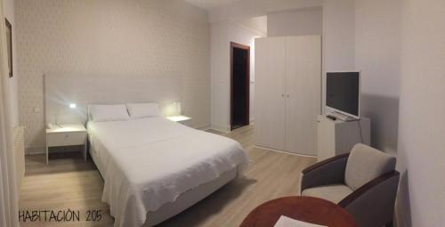 a hotel room with a bed and a tv at Hostal Vista Alegre in Castro-Urdiales