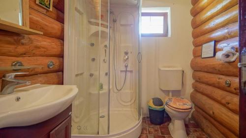 a bathroom with a shower and a sink and a toilet at Dolce Cabana in Timisul de Jos