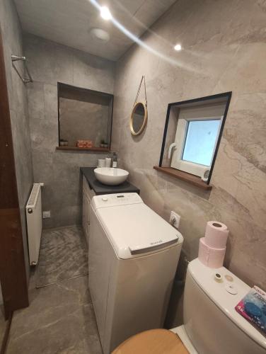 a small bathroom with a toilet and a sink at Le Domaine Des Petits Chat in Orchamps