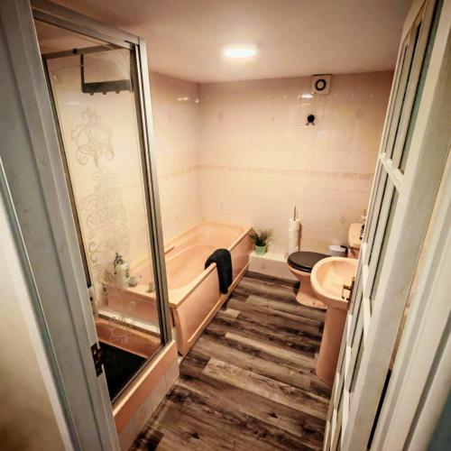 a bathroom with a tub and a toilet and a sink at Treforgan Newydd in Cardigan