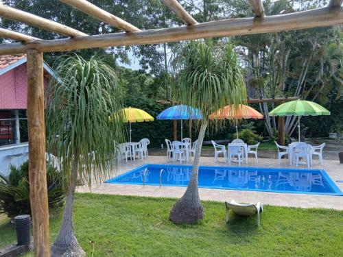 two palm trees in front of a swimming pool with umbrellas at Pousada Casa de Campo in Conservatória