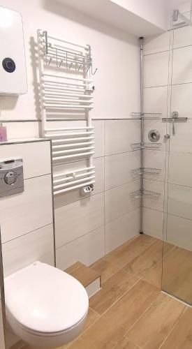 a bathroom with a toilet and a glass shower at DEBSI vacation rental in Bad Windsheim