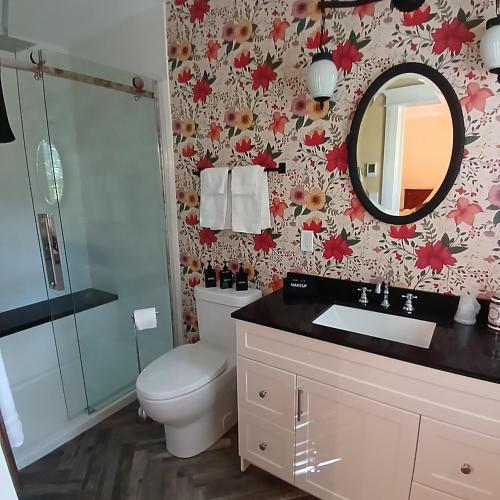 a bathroom with a toilet and a sink and a mirror at Cranberry Moon Inn in Bala