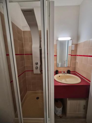 a bathroom with a shower and a sink at le coulinet in Andernos-les-Bains