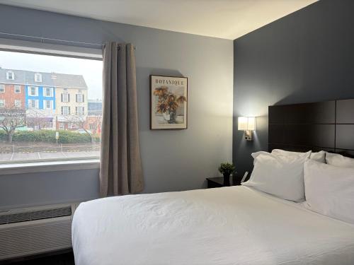 a bedroom with a white bed and a window at Mainstay Inn in Phoenixville