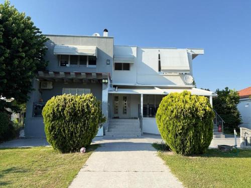 AVS holiday home 1