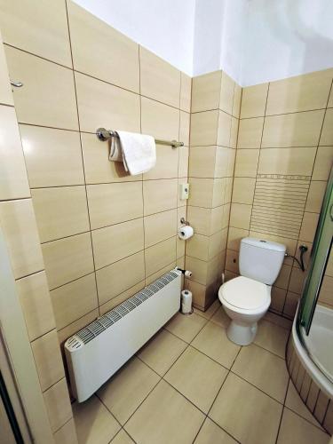 a small bathroom with a toilet and a shower at Dolina Wilema in Bolesławów