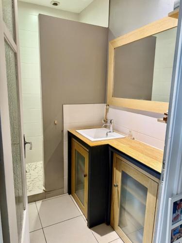 Le Platane - Appartement en hypercentre