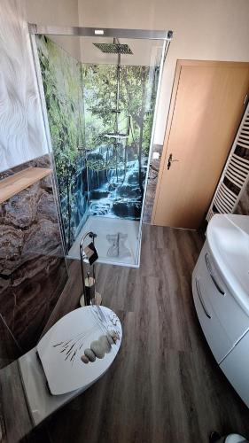 a bathroom with a shower and a toilet and a sink at Ferienwohnung Heike "Zum Spatzennest" in Mühlhausen