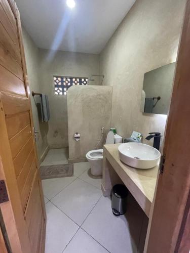 a bathroom with a sink and a toilet at Aluna Beach House Nungwi in Nungwi