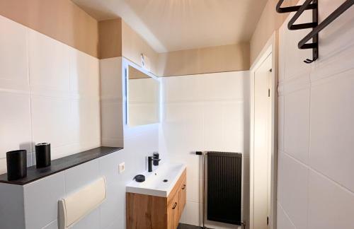 a bathroom with a sink and a mirror at Achtern Diek Haus 12d Wohnung 1 PALSTEK in Müggenburg