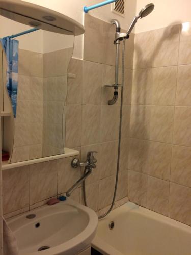 チャイコフスキーにあるApartments Vizitのバスルーム(シャワー、トイレ、洗面台付)