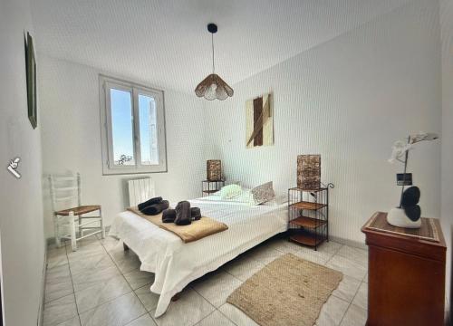 Centre Carcassonne apartment with private sunny terrace