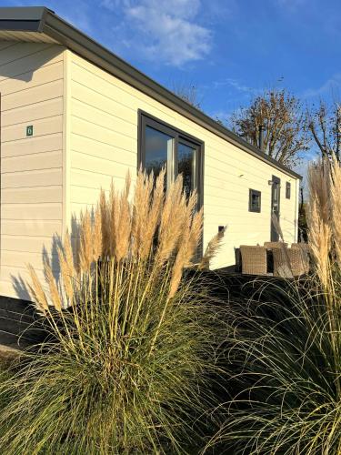 a yellow house with plants in front of it at Chalet 6 Wellenruh in Westerland