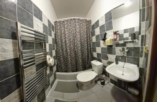 a bathroom with a toilet and a sink and a shower at Penzion Jaroš in Popůvky