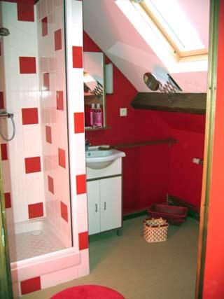 La salle de bains rouge est pourvue d'un lavabo et d'une douche. dans l'établissement La Colline des Roses, à Colline-Beaumont