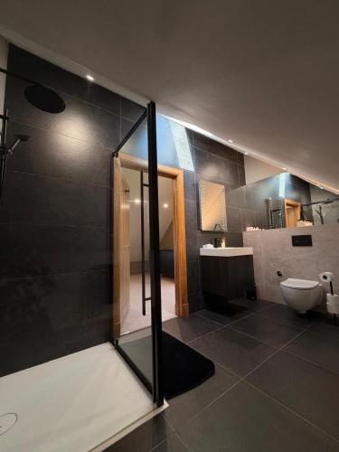a bathroom with a shower and a toilet and a sink at The Stables Luxury B&B in Bury