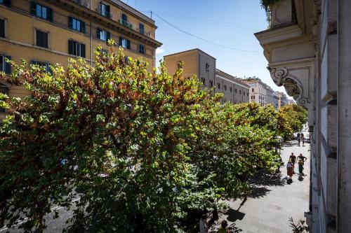 a large bush in the middle of a street at Residenza Vatican Suite in Rome