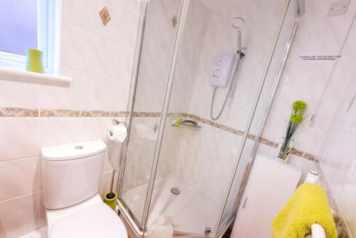 uma casa de banho com um chuveiro e um WC. em Cul Mor B&B em Eccleshall