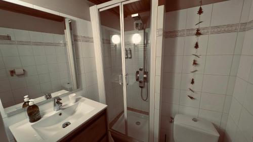a bathroom with a shower and a sink and a toilet at CHAMBRES D'HOTES L'ANTONIN in Saint-Antoine