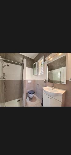 a bathroom with a toilet and a sink and a shower at les chambres d'hotes du chalet in Venaco