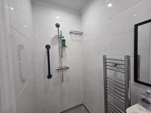 a bathroom with a shower stall with a toilet at Romford Lodge in Romford