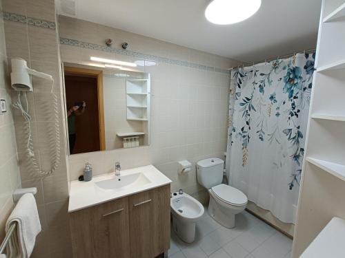 a bathroom with a sink and a toilet and a shower at Apartamento Maladeta in Torla-Ordesa