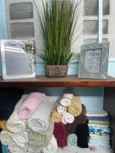 a shelf filled with different types of towels and a plant at Elaine's Hideaway in Point Fortin