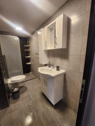 a bathroom with a white sink and a toilet at Fani 2 in Lozenets