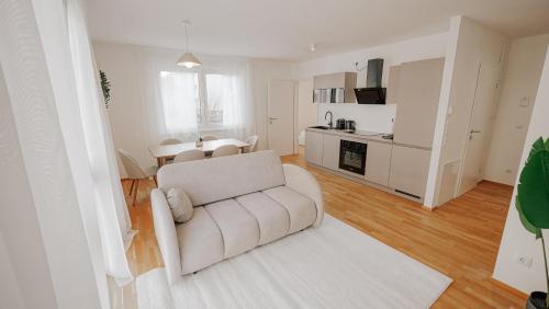 Modern apartment including rooftop terrace