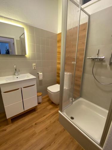 a bathroom with a shower and a sink and a toilet at Altstadtrefugium "Backsteenhuus" und ,,Li ebertee" in Leer in Leer