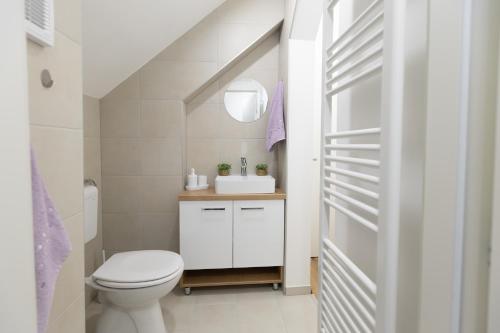 a bathroom with a white toilet and a sink at Apartman ''Kod bake'' Delnice biker-friendly in Delnice