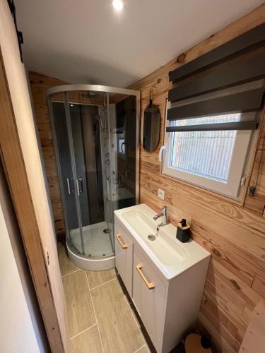 a bathroom with a sink and a shower at La Roulotte des Gaillots in Moiremont
