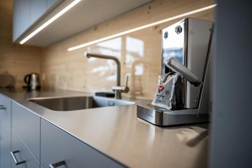 a kitchen with a sink and a faucet at Residenza Pazzola in Disentis