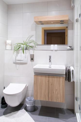 a bathroom with a sink and a toilet at Gästehaus Sonner in Dietmannsried