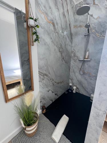 a bathroom with a shower with a mirror at Grace House Quarto single privado in Belinho