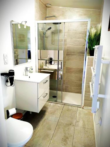 a bathroom with a shower and a toilet and a sink at L'instant voyageur in Virsac