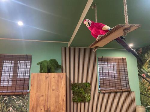 a parrot is sitting on a swing in a room at Casa Sole in Rivoli