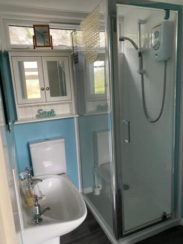 a bathroom with a shower and a toilet and a sink at 49 Erw Porthor in Tywyn