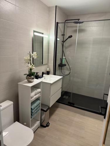 a bathroom with a shower and a sink and a toilet at Escale Berckoise Studio Cosy Proche des Phoques in Berck-sur-Mer