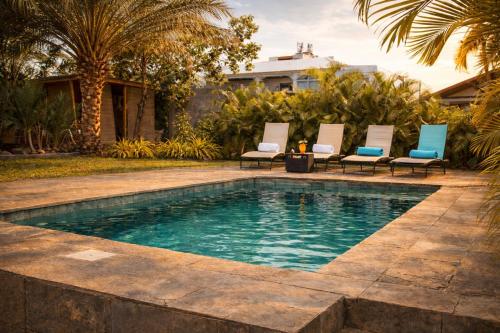 LODGE INDIGO - Bungalow & RDC indépendant proche aéroport