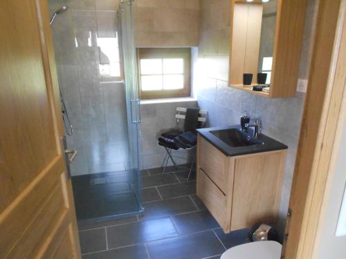 a bathroom with a shower and a sink and a toilet at Le Courtil in Buironfosse