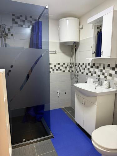a bathroom with a shower and a toilet and a sink at Apartman Ditta in Subotica
