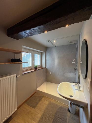 a bathroom with a sink and a mirror at Gites La Tabatiere in Vresse-sur-Semois