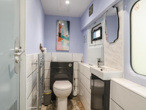 a small bathroom with a toilet and a sink at The Carriage Ely Penzance in Ely