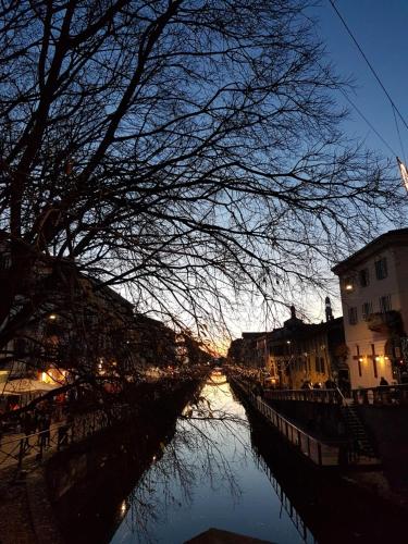 een uitzicht op een rivier in de nacht met een boom bij With Free Parking - The Boheme Navigli Junior Suite - Quiet & comfy vintage Junior Suite with cozy balcony - 5th attic floor lift to 4th floor - metro' verde -green subway Porta Genova in Milaan