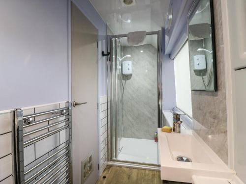 a bathroom with a shower and a sink at The Carriage Ely Paddington in Ely
