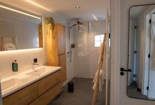 a bathroom with a sink and a shower at B&B Oud-Zilven Het Vogelhuisje in Loenen