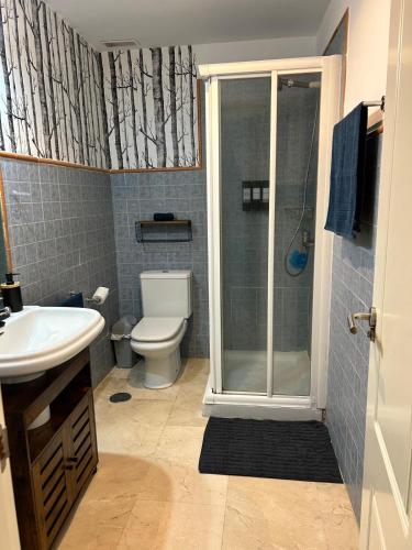 a bathroom with a shower and a toilet and a sink at playa ancha in San Luis de Sabinillas